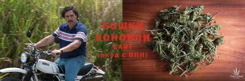 купить закладку  Гаврилов-Ям  Марихуана THC 21% 